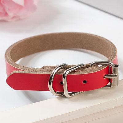 Luxury Leather Dog Collar - Stylish And Durable Pet Chain