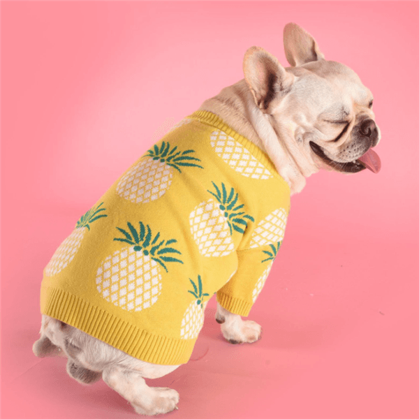 Tropical Delight Cotton Sweater