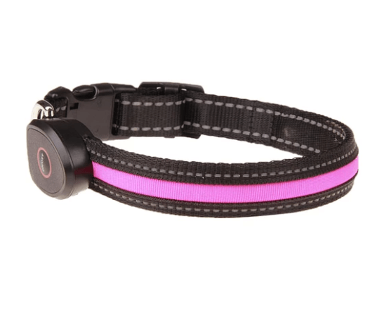 Glowing Pup Collar