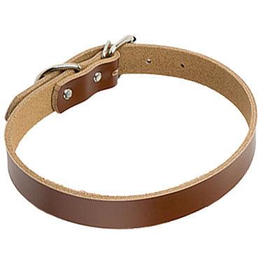 Luxury Leather Dog Collar - Stylish And Durable Pet Chain