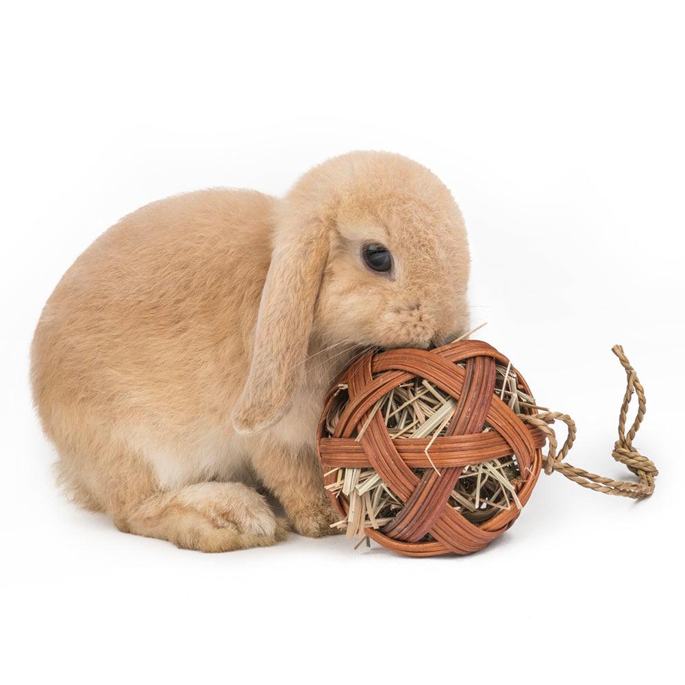 Natural Chew Delight For Small Pets