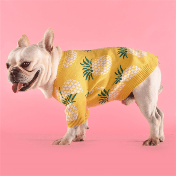Tropical Delight Cotton Sweater