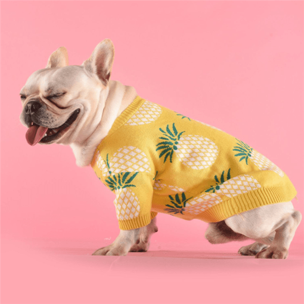 Tropical Delight Cotton Sweater