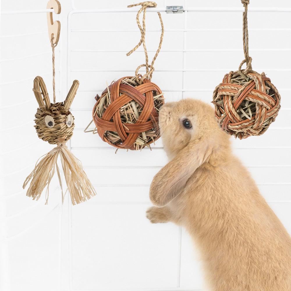 Natural Chew Delight For Small Pets