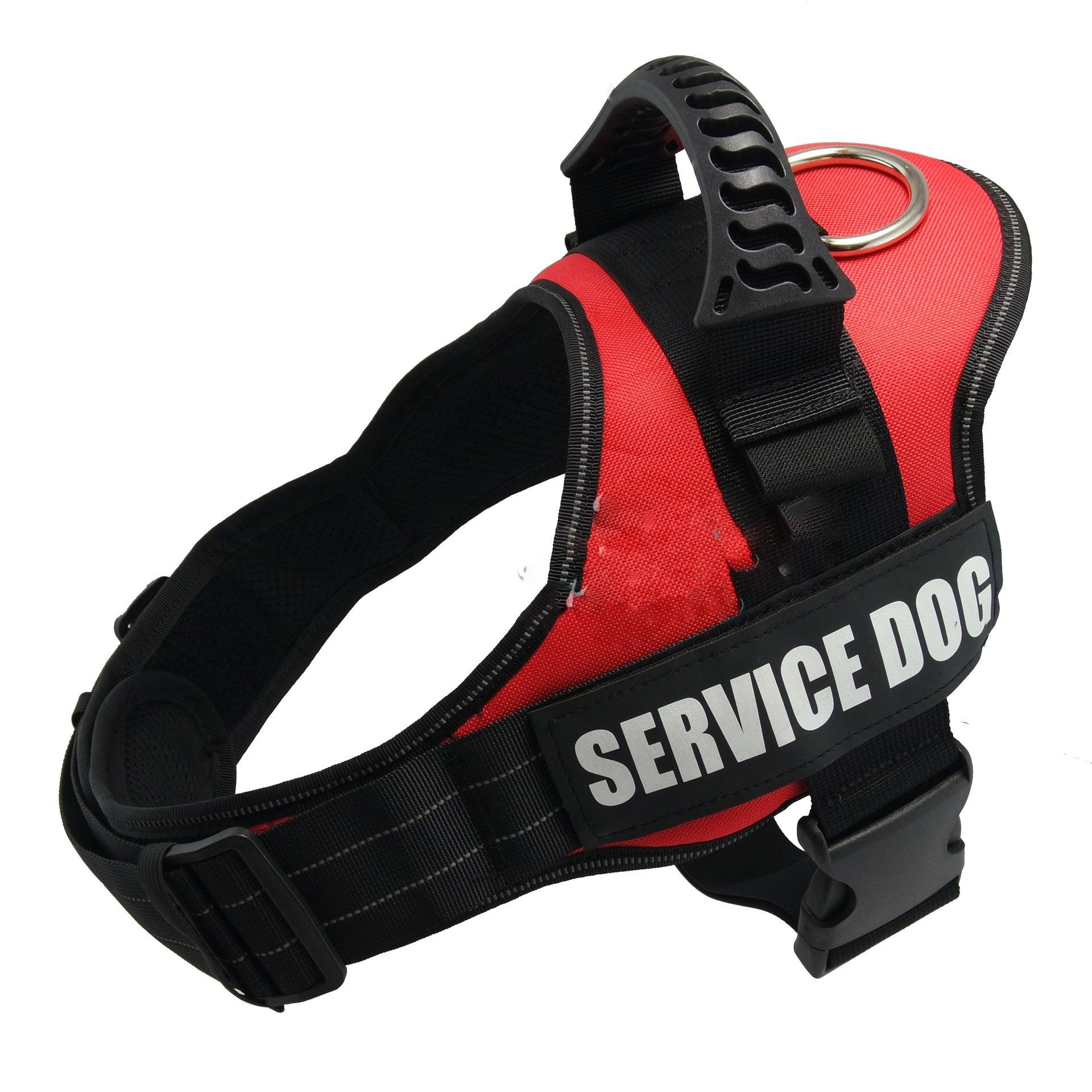 Explosafe Pet Leash: The Ultimate Safety Harness For Your Furry Friend