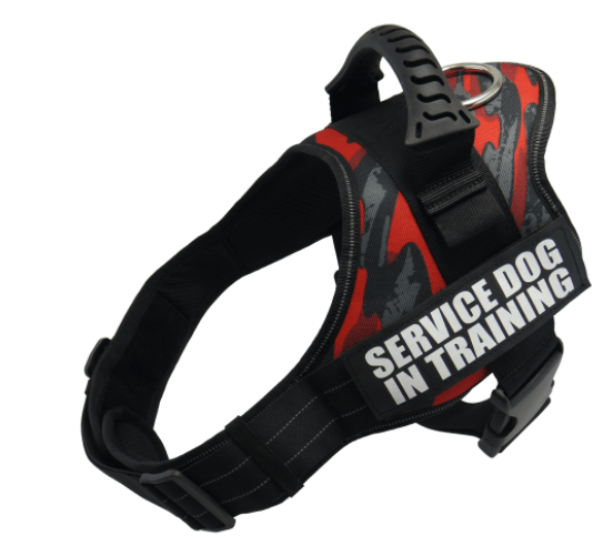 Explosafe Pet Leash: The Ultimate Safety Harness For Your Furry Friend