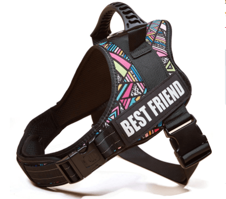 Explosafe Pet Leash: The Ultimate Safety Harness For Your Furry Friend