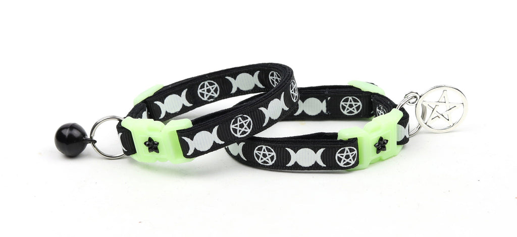 Witch's Familiar on Black Cat Collar